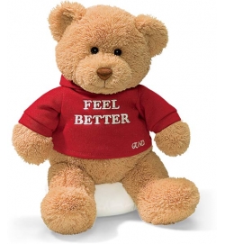 Gund "Message Bear" 12吋色 "Feel Better" 泰迪熊